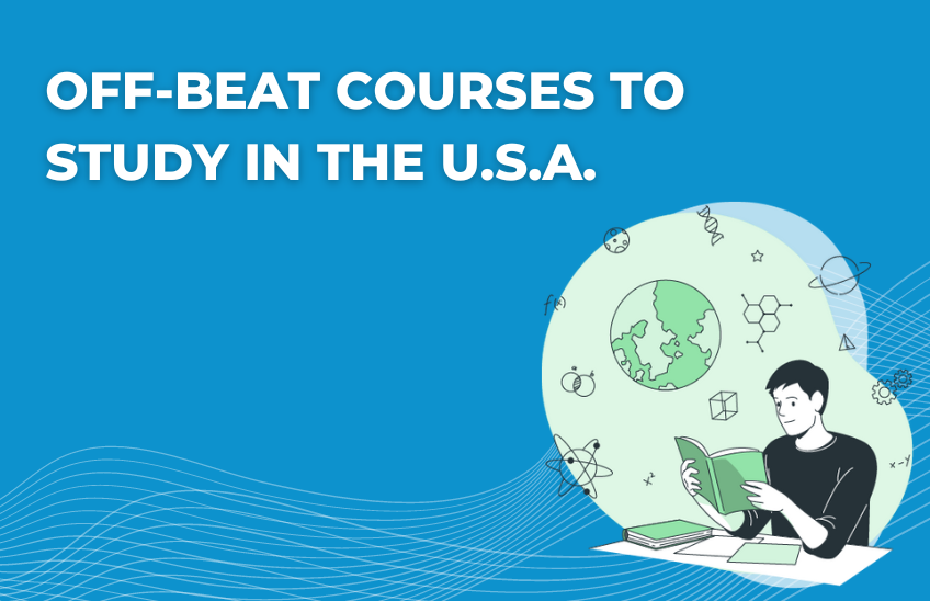 Off-beat courses to study in the U.S.A.